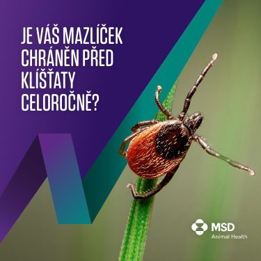 Veterinární klinika OK-VET